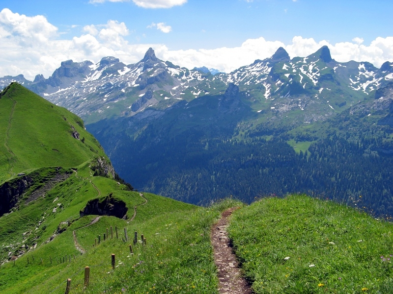 Above Stoos.JPG